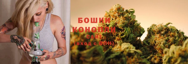 PSILOCYBIN Балабаново