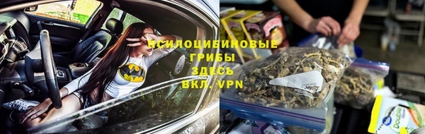 PSILOCYBIN Балабаново
