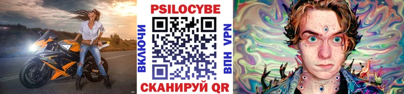где купить   Армянск  Псилоцибиновые грибы Psilocybe 